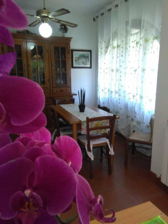 Appartamento Orchidea 蒙特马拉诺 外观 照片